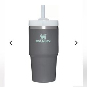 Stanley 20 oz. Quencher H2.0 FlowState Tumbler